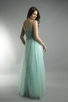 Back View