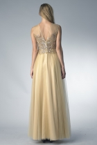 Back View