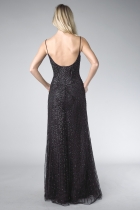 Back View