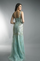 Back View