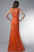 Back View