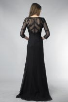 Back View