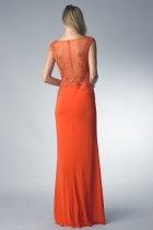 Back View
