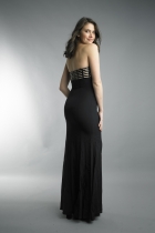 Back View