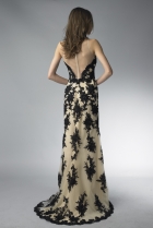 Back View