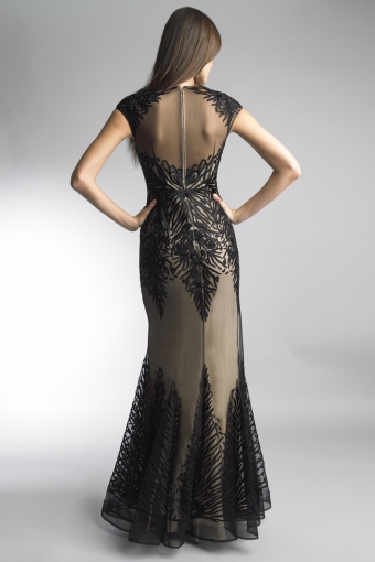 Feathered Illusion Cap Sleeve Gown
