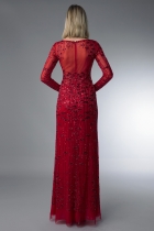 Back View