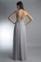 Back View