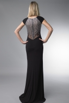 Back View