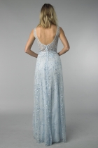 Back View