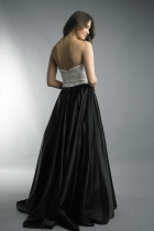 Back View