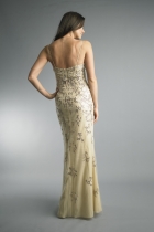 Back View