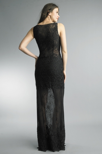 Intricate Lace Column Evening Gown