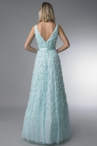 Back View