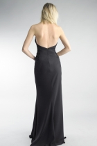 Back View