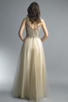 Back View