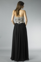 Back View