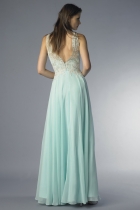 Back View