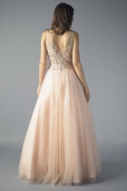Back View