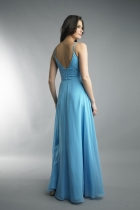 Back View