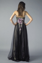 Back View