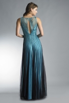 Back View