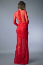 Back View
