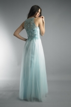 Back View