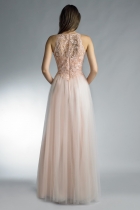 Back View
