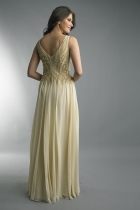 Back View