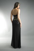 Back View