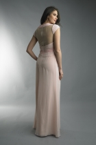 Back View