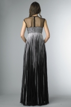 Back View