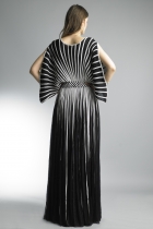 Back View