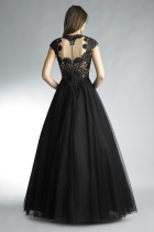 Back View