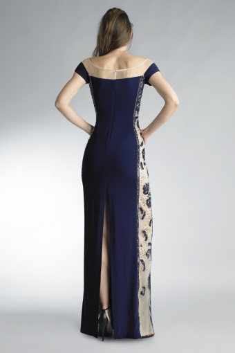 Short sleeve stretch evening gown