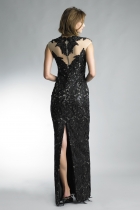 Back View