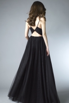 Back View