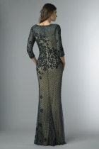 Back View