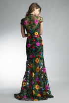 Back View
