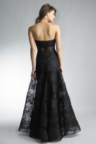 Back View