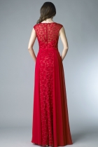 Back View