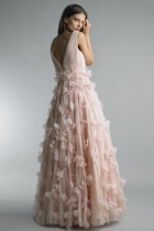 Back View