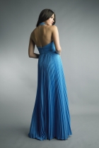 Back View