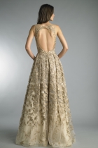 Back View