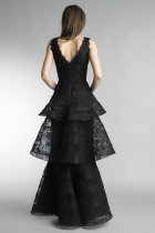 Back View