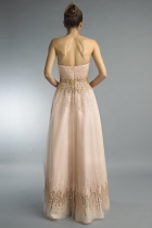 Back View