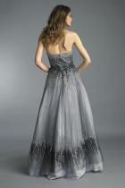 Back View