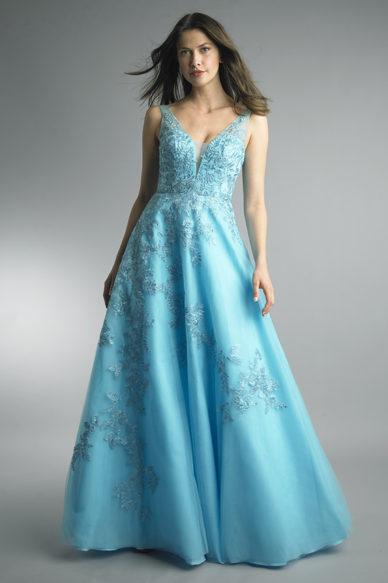 Embroidered V-neck Gown