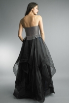 Back View